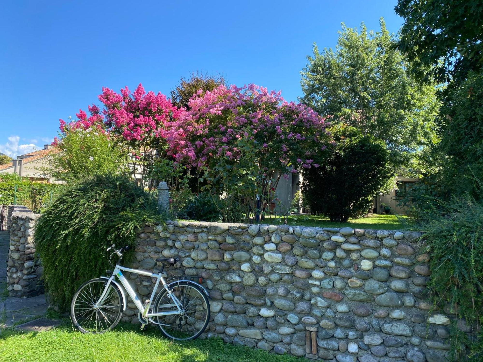 Holiday Home Punta D'Oro With Garden, Parking Place And Lake Access At 300 M 伊塞奥 外观 照片